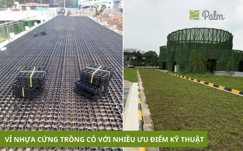Vỉ Trồng Cỏ Chịu Lực | Tất Tần Tật Về Lợi Ích, Ứng Dụng Và Cách Lắp Đặt